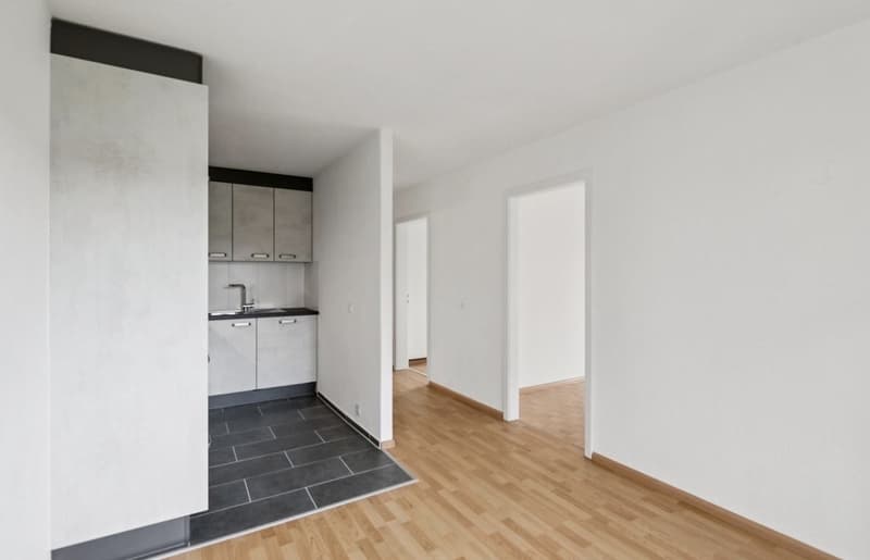 Nachmieter gesucht für eine schöne 2.5-Zimmer-Wohnung in Mellingen (2)
