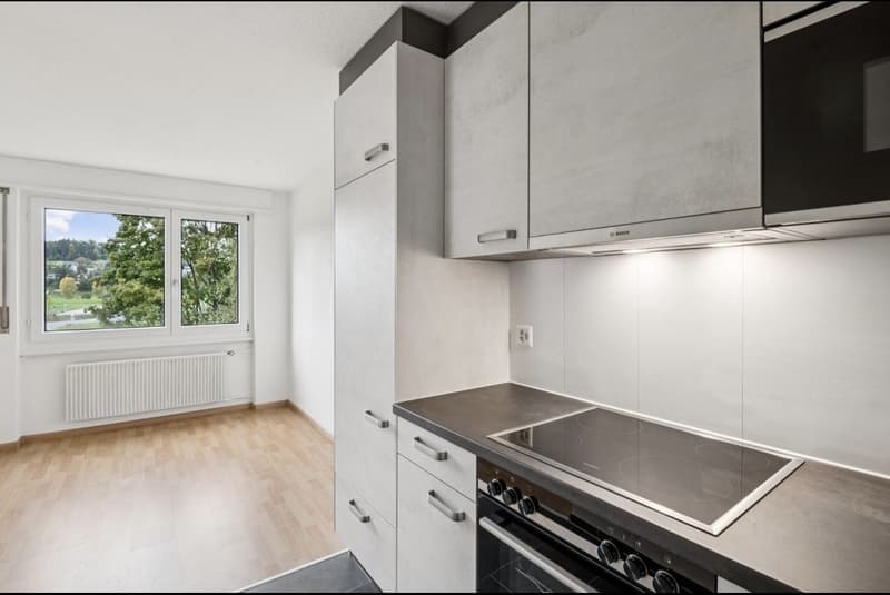 Nachmieter gesucht für eine schöne 2.5-Zimmer-Wohnung in Mellingen (1)