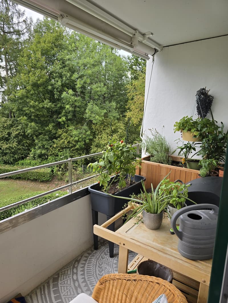 2 Zimmer-Wohnung, 6006 Luzern (3)