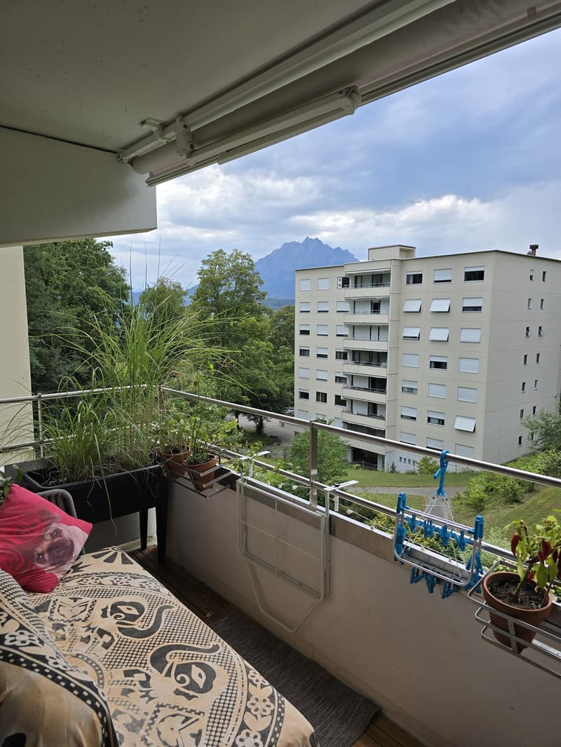 2 Zimmer-Wohnung, 6006 Luzern (2)