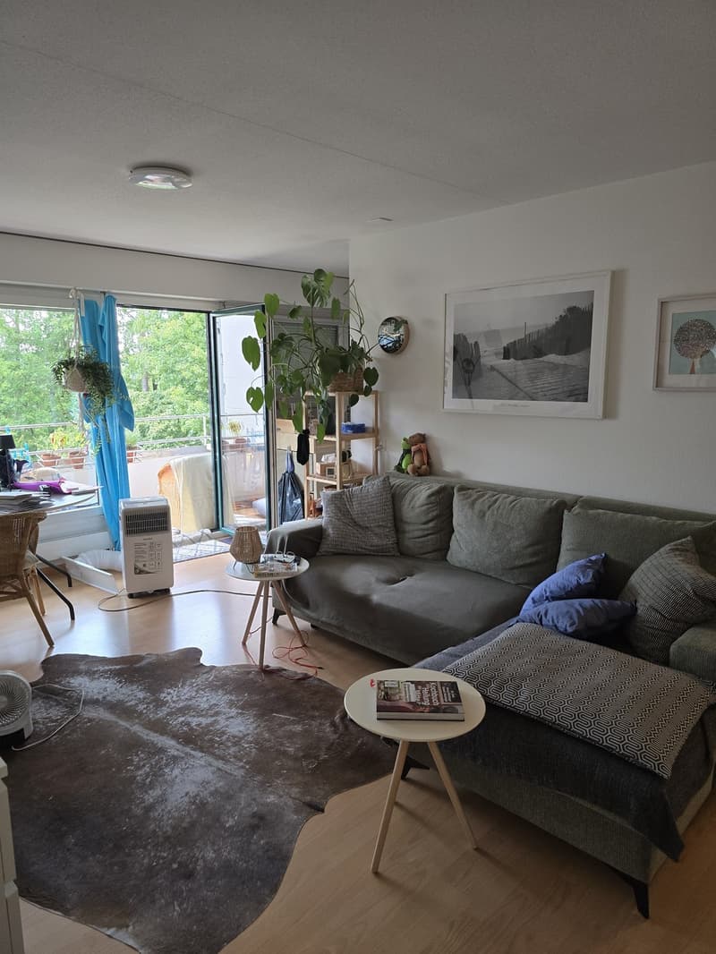2 Zimmer-Wohnung, 6006 Luzern (4)