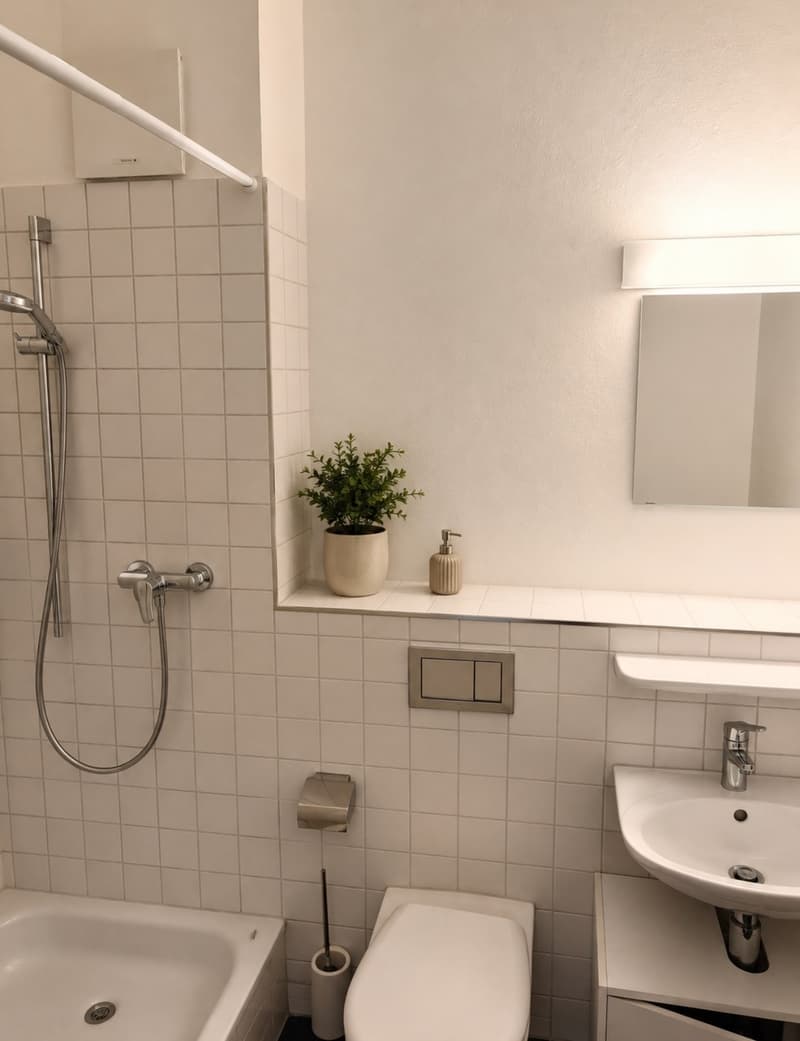 Charmante 1.5-Zimmer-Loftwohnung (47 m²) mit 3 m hohen Decken  zentrale Lage in Wohlen AG (7)