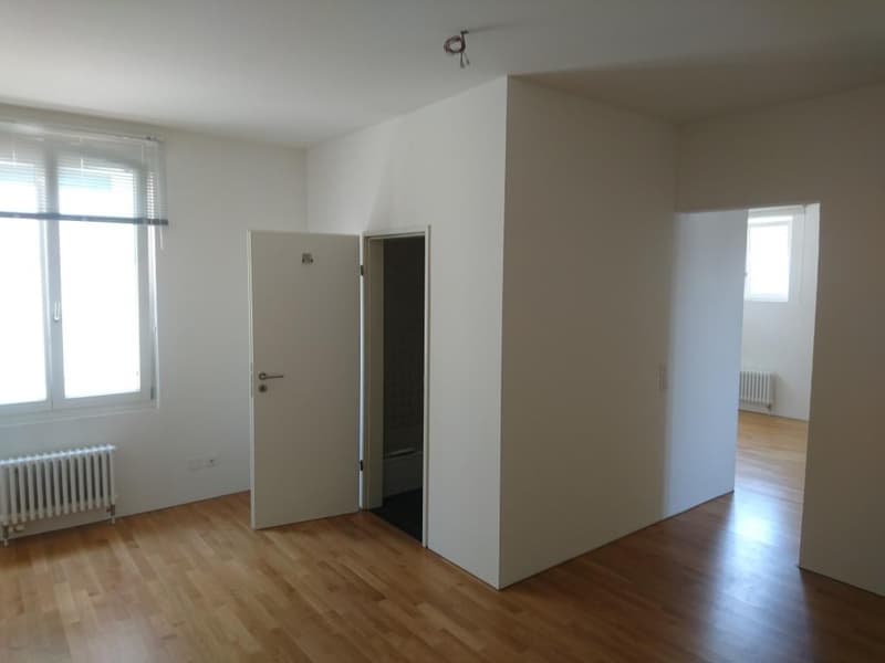 Charmante 1.5-Zimmer-Loftwohnung (47 m²) mit 3 m hohen Decken  zentrale Lage in Wohlen AG (5)