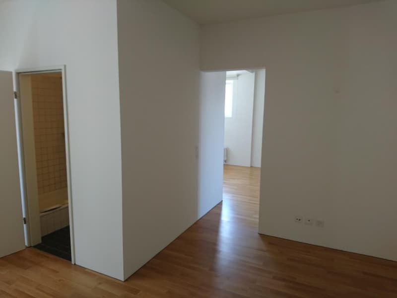 Charmante 1.5-Zimmer-Loftwohnung (47 m²) mit 3 m hohen Decken  zentrale Lage in Wohlen AG (4)