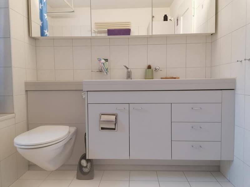 91 qm für unter 1800 CHF/Monat in super Lage (8)