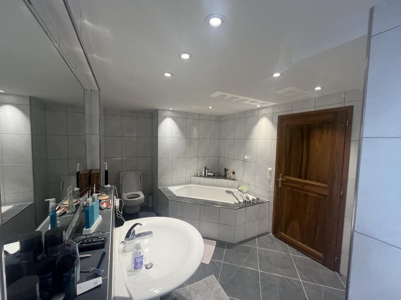 WG Room Brugger Altstadt (6)