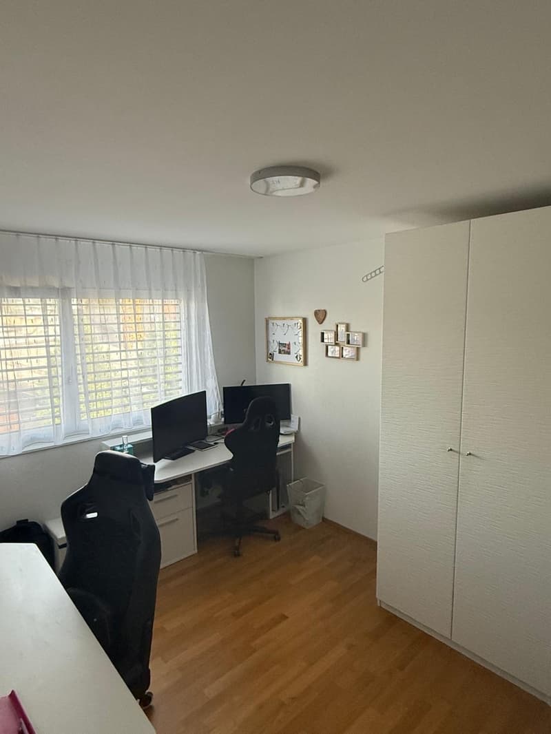 3 1/2-Zimmer Wohnung 2 OG links (8)