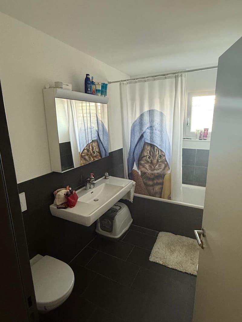 3 1/2-Zimmer Wohnung 2 OG links (7)