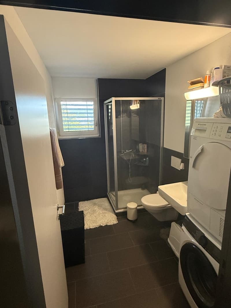 3 1/2-Zimmer Wohnung 2 OG links (6)