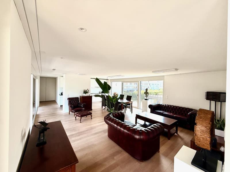 Hochwertig möbliertes 3.5-Zimmer-Penthouse mit zwei Terrassen im Kreis 5 (9)