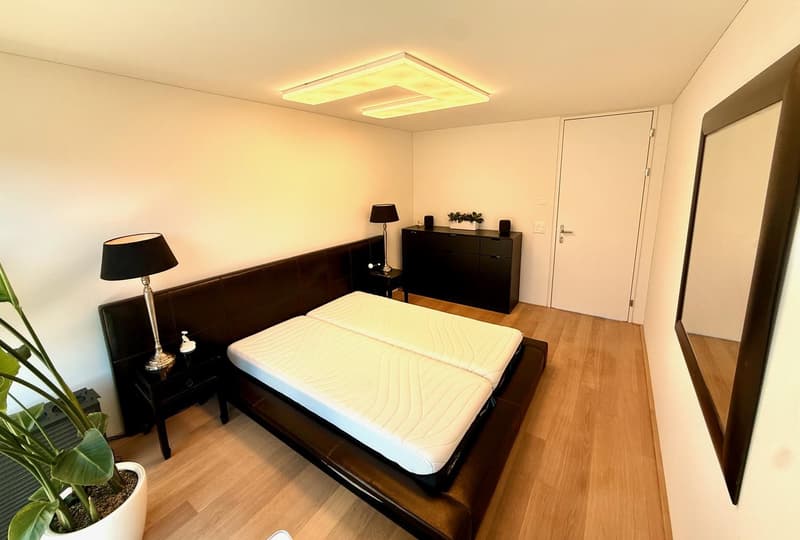 Hochwertig möbliertes 3.5-Zimmer-Penthouse mit zwei Terrassen im Kreis 5 (11)