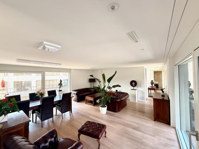Hochwertig möbliertes 3.5-Zimmer-Penthouse mit zwei Terrassen im Kreis 5 (6)