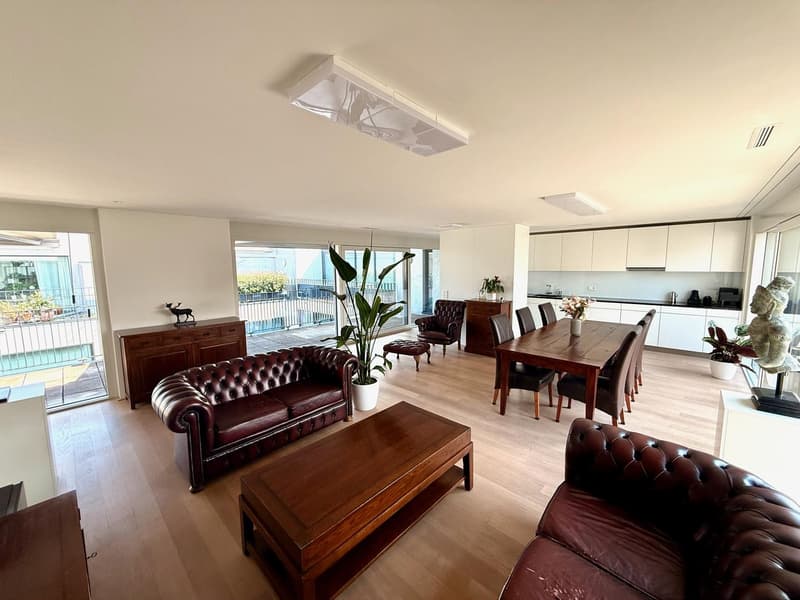 Hochwertig möbliertes 3.5-Zimmer-Penthouse mit zwei Terrassen im Kreis 5 (2)