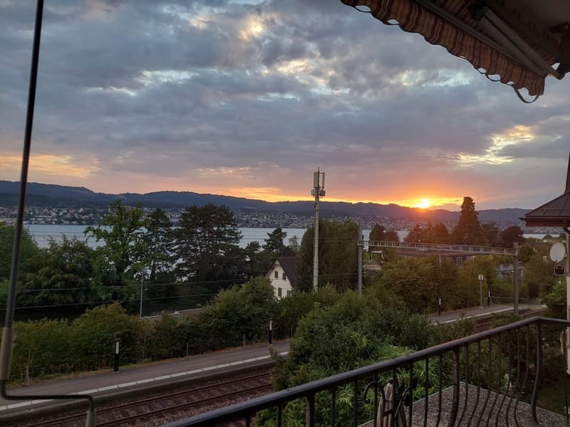 Rent a 3 rooms apartment in Erlenbach ZH (6)
