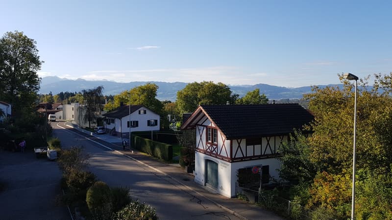 Mieter gesucht für eine schöne 2. 5 Zimmer Wohnung in optimaler Lage (3)