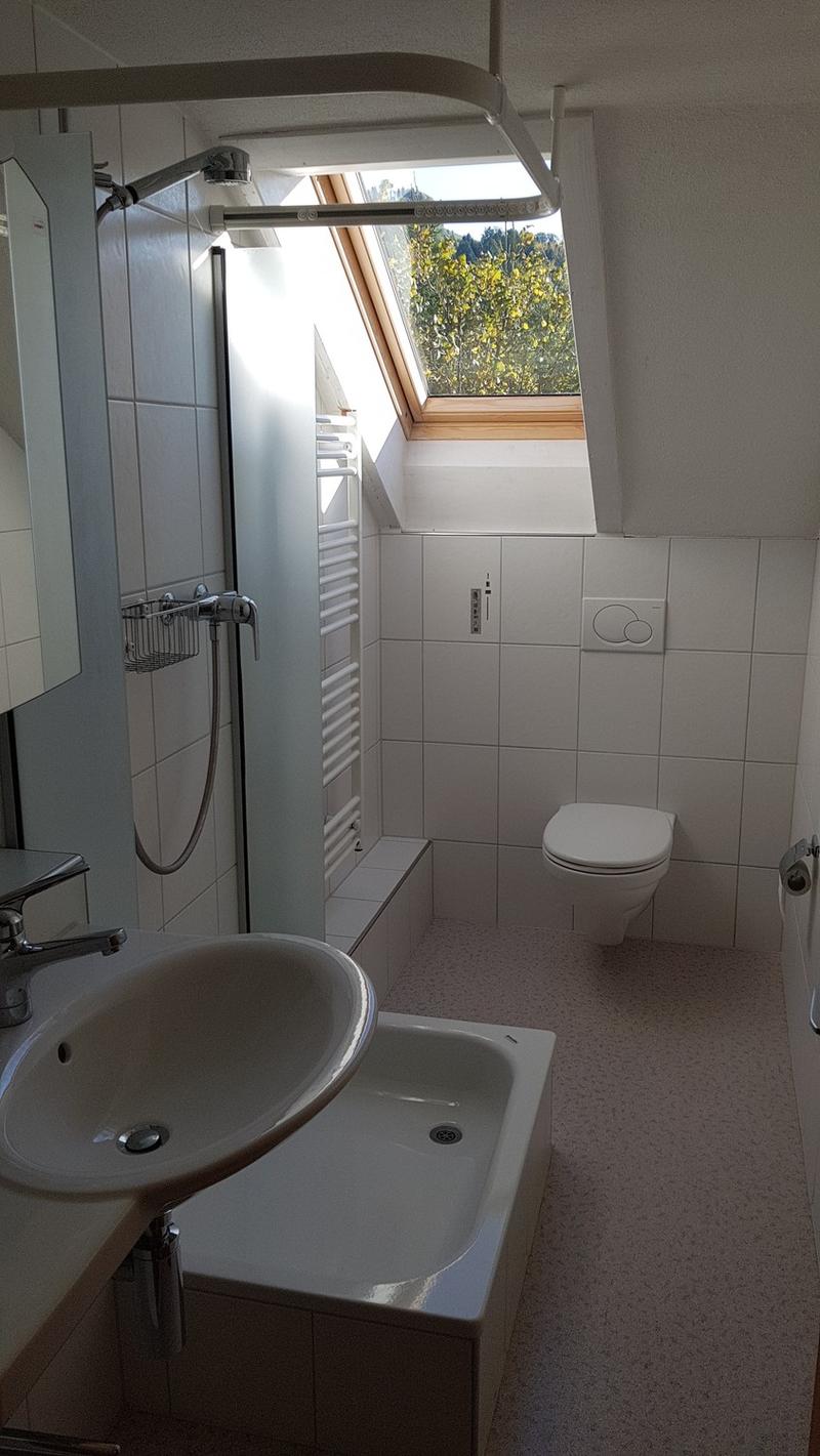 Mieter gesucht für eine schöne 2. 5 Zimmer Wohnung in optimaler Lage (6)