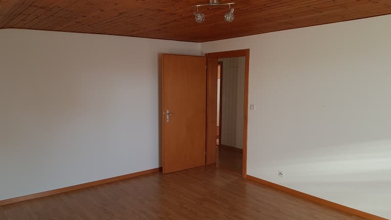 Mieter gesucht für eine schöne 2. 5 Zimmer Wohnung in optimaler Lage (7)