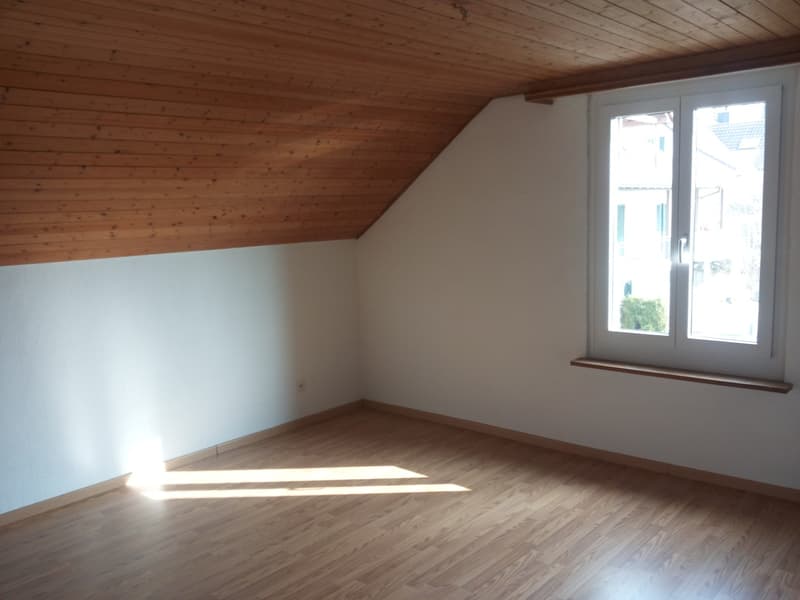 Mieter gesucht für eine schöne 2. 5 Zimmer Wohnung in optimaler Lage (11)