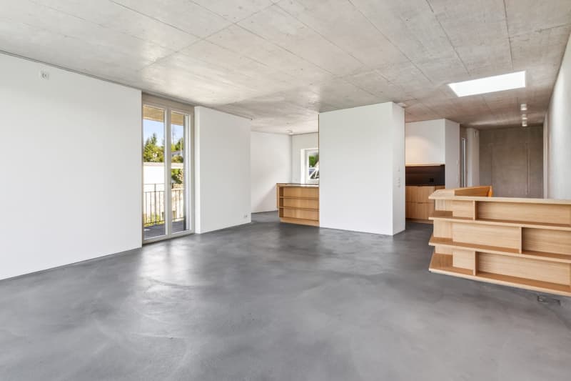 Einzigartige 4.5-Zimmer Maisonette-Attika-Wohnung in Birmensdorf ZH (8)