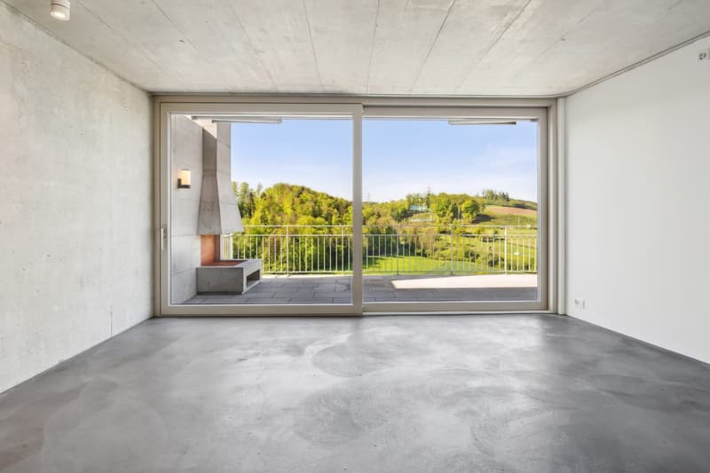 Einzigartige 4.5-Zimmer Maisonette-Attika-Wohnung in Birmensdorf ZH (5)