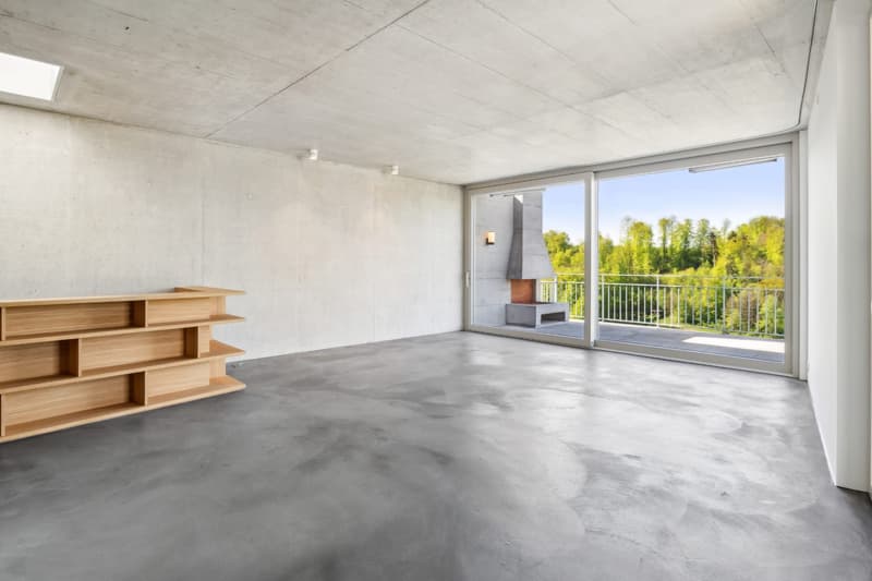 Einzigartige 4.5-Zimmer Maisonette-Attika-Wohnung in Birmensdorf ZH (1)