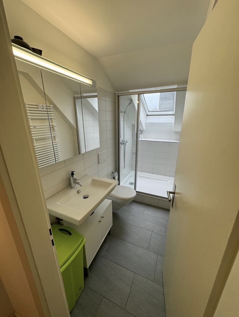 Top Lage: Schöne Dachgeschosswohnung im Herzen von Wiedikon (8)