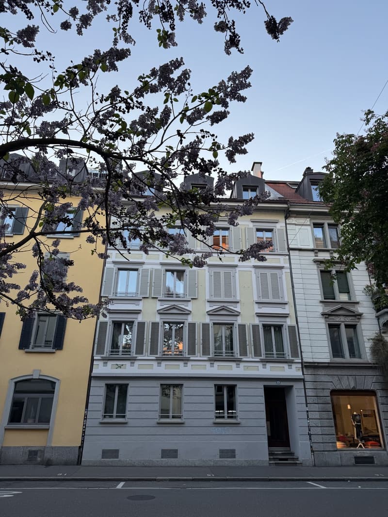 Top Lage: Schöne Dachgeschosswohnung im Herzen von Wiedikon (10)