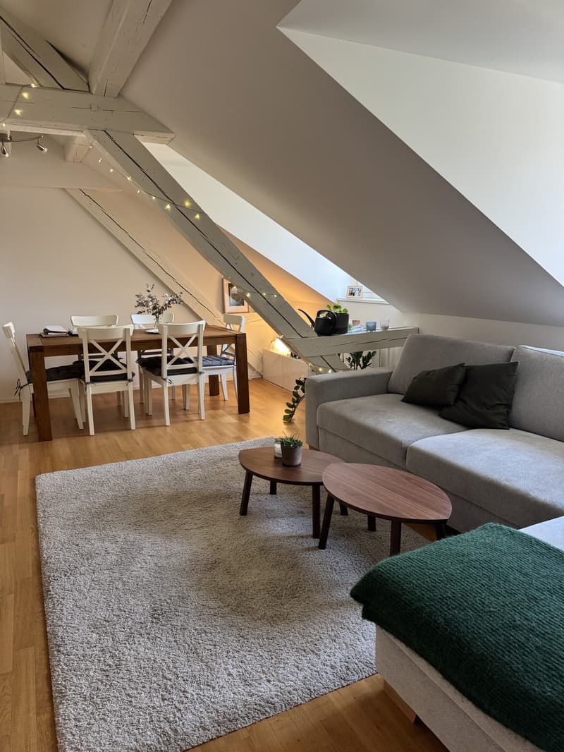 Top Lage: Schöne Dachgeschosswohnung im Herzen von Wiedikon (1)
