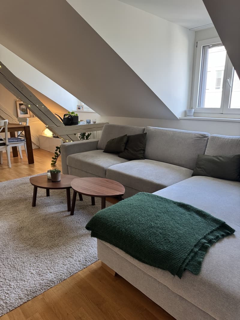 Top Lage: Schöne Dachgeschosswohnung im Herzen von Wiedikon (13)