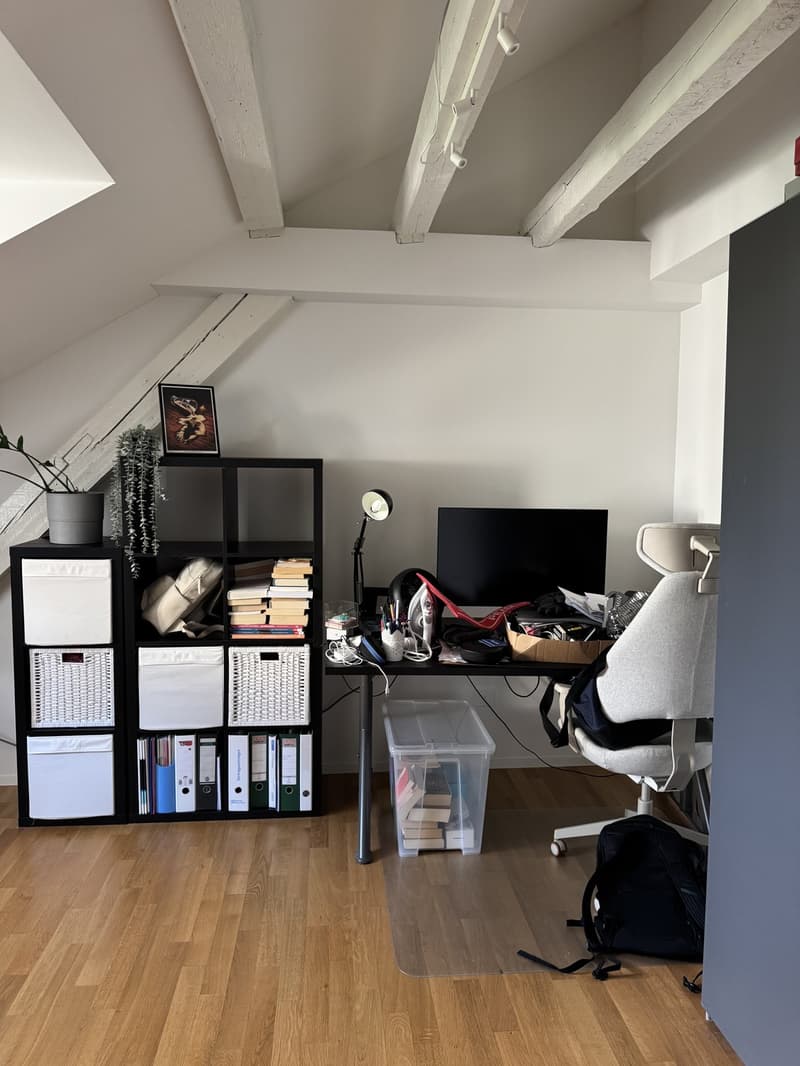 Top Lage: Schöne Dachgeschosswohnung im Herzen von Wiedikon (6)