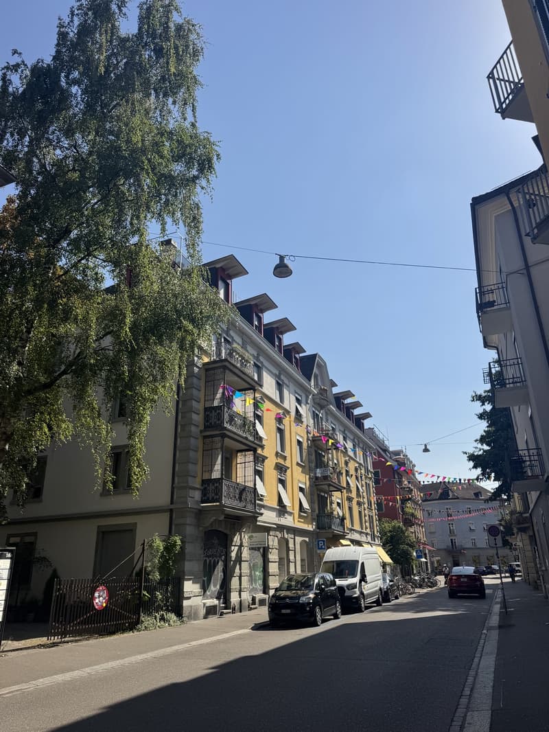 Top Lage: Schöne Dachgeschosswohnung im Herzen von Wiedikon (11)