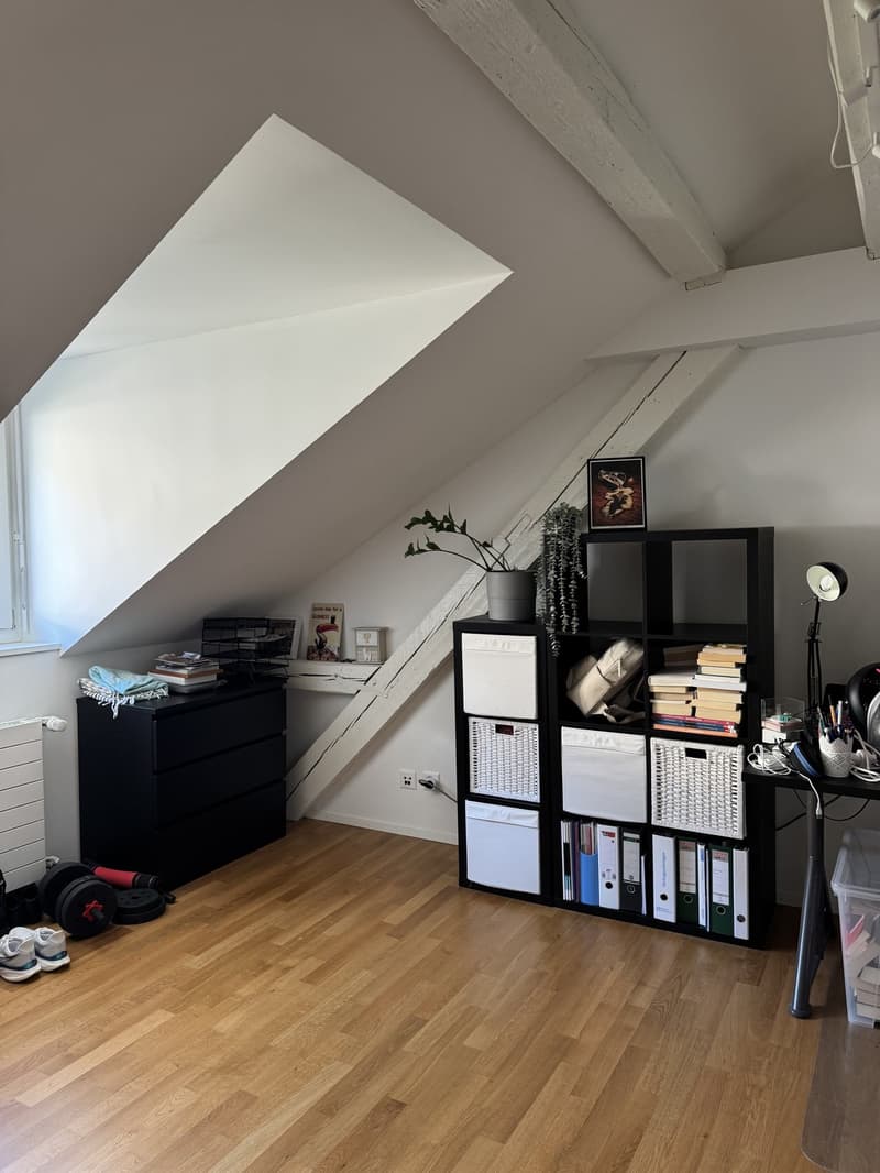 Top Lage: Schöne Dachgeschosswohnung im Herzen von Wiedikon (5)