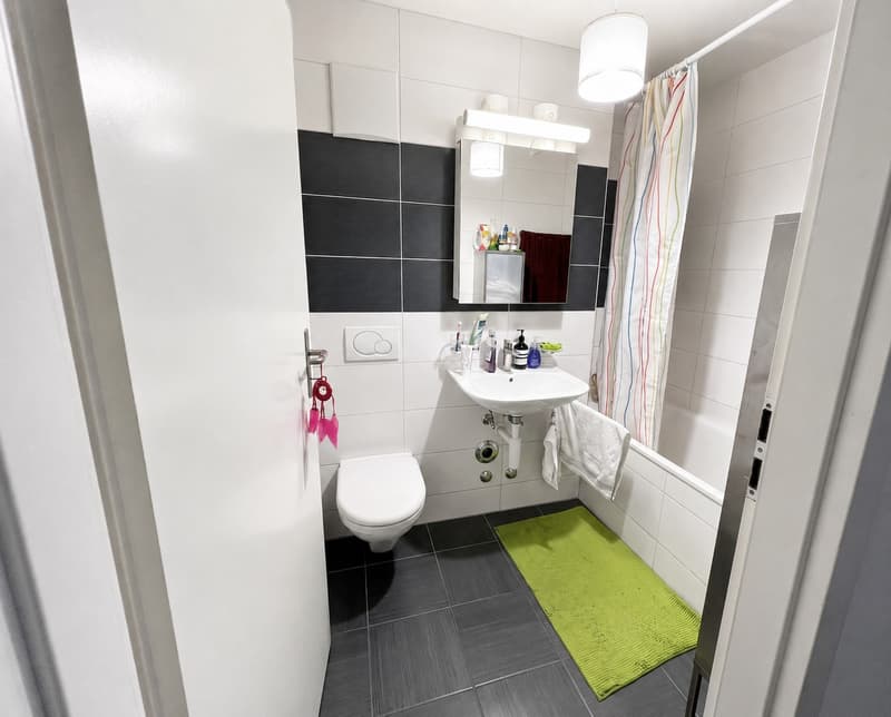 Modern 2.5-pieces apartment located in the city center (7)
