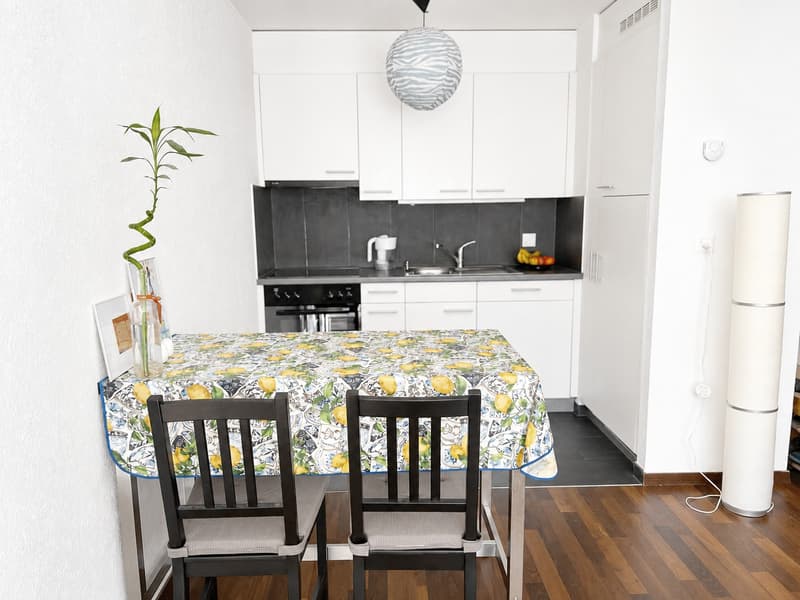 Modern 2.5-pieces apartment located in the city center (3)