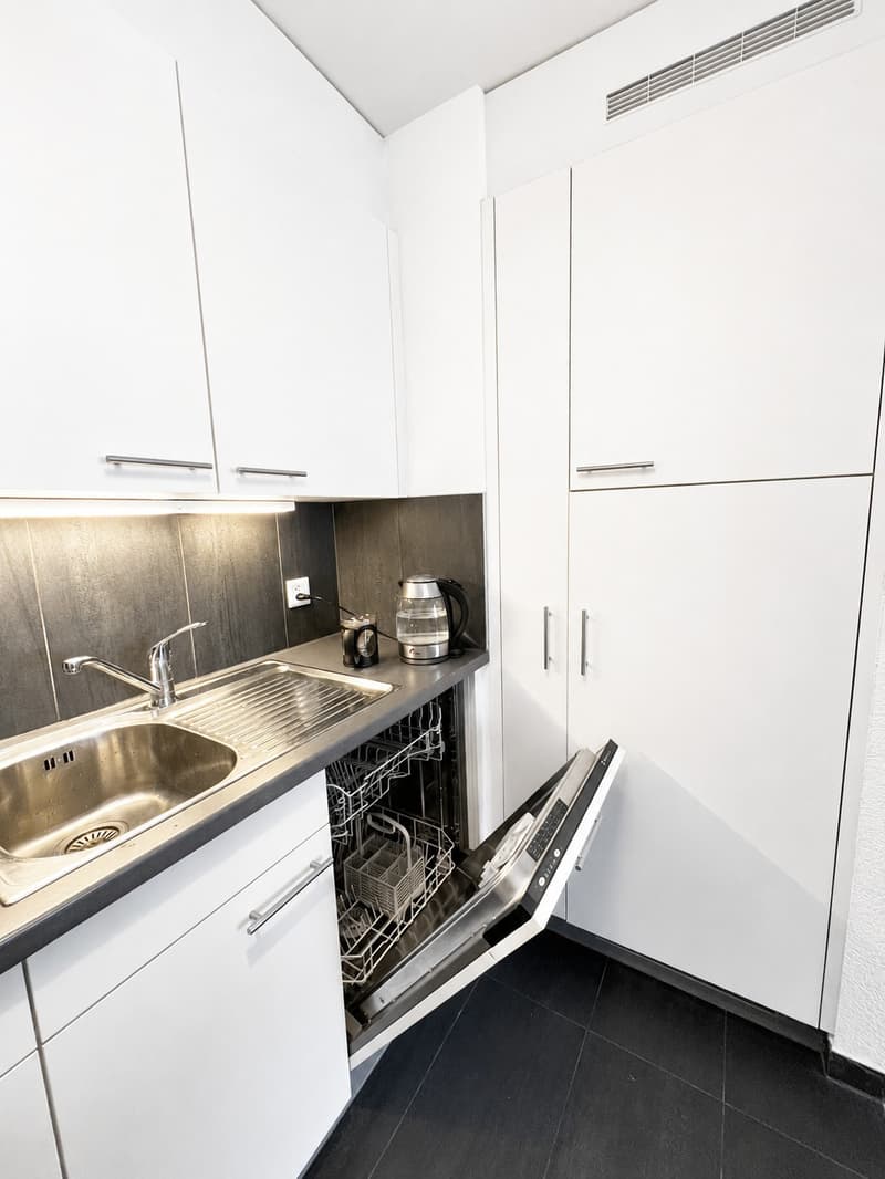 Modern 2.5-pieces apartment located in the city center (4)