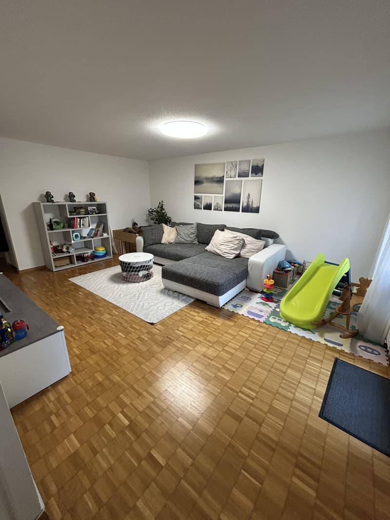 3 ½ Zimmer-Wohnung, 8355 Aadorf (9)
