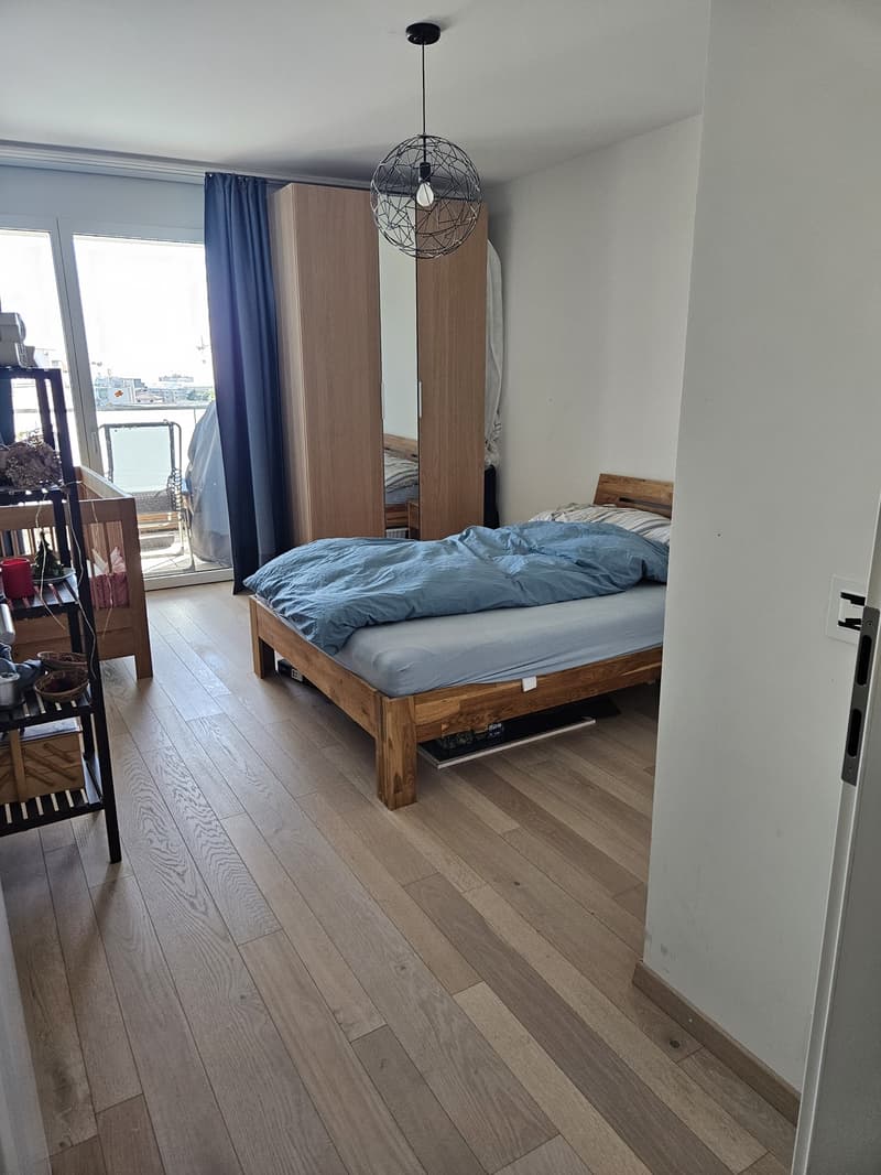Magnifique appartement 3.5 pèces (4)