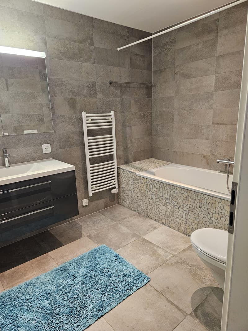 Magnifique appartement 3.5 pèces (7)