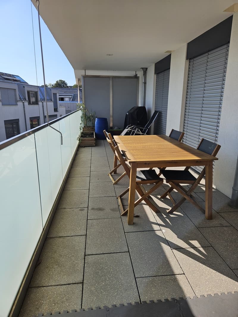 Magnifique appartement 3.5 pèces (5)