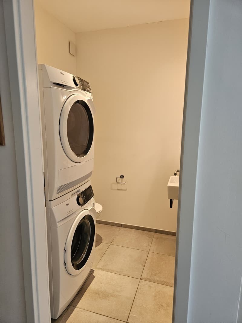 Magnifique appartement 3.5 pèces (6)