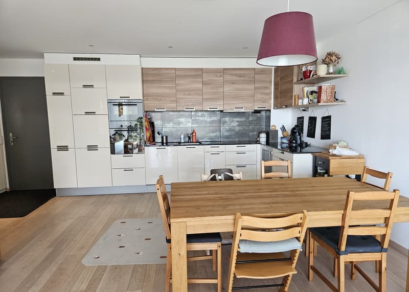 Magnifique appartement 3.5 pèces (2)