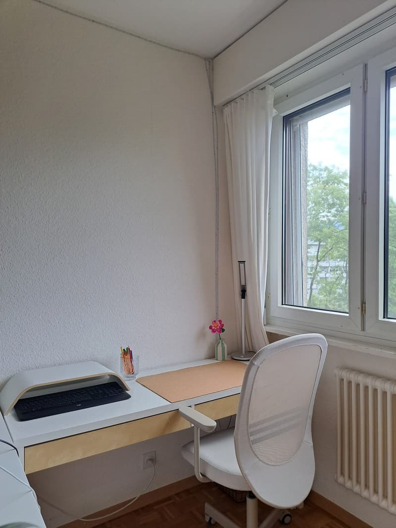 Chambre meublée 19 m² à sous-louer Grand-Lancy (3)