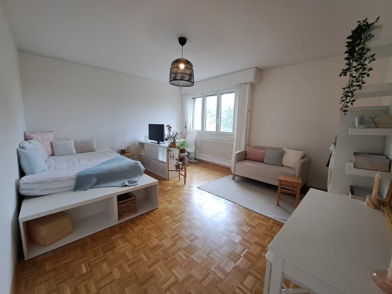 Chambre meublée 19 m² à sous-louer Grand-Lancy (1)