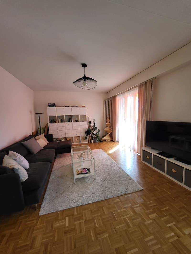 Chambre meublée 19 m² à sous-louer Grand-Lancy (4)