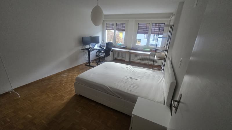 Grosszügiges WG-Zimmer im Herzen von Höngg zu vermieten (5)