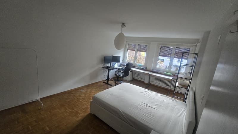 Grosszügiges WG-Zimmer im Herzen von Höngg zu vermieten (6)