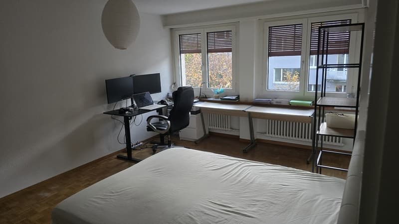 Grosszügiges WG-Zimmer im Herzen von Höngg zu vermieten (2)