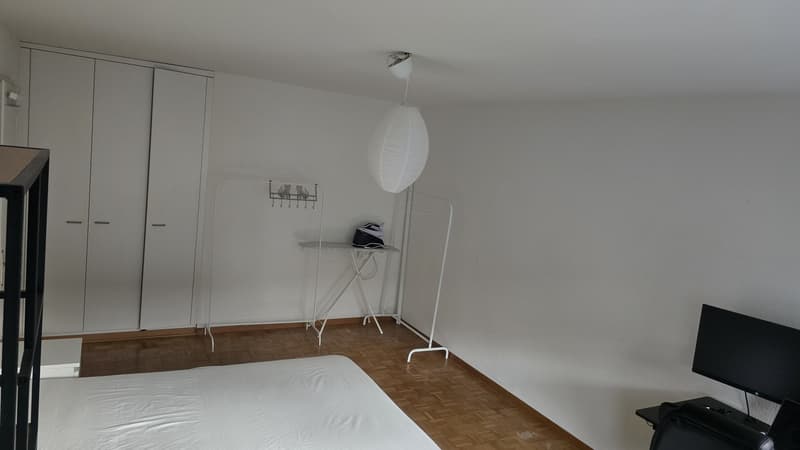 Grosszügiges WG-Zimmer im Herzen von Höngg zu vermieten (1)