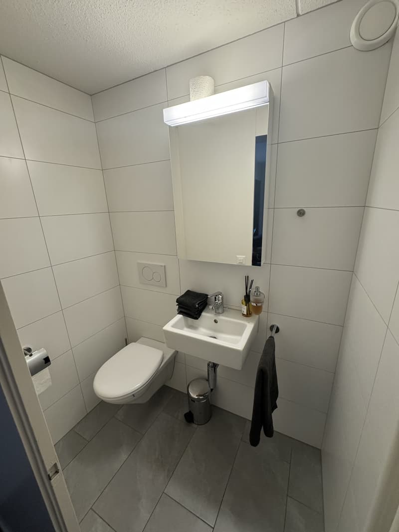 3.5 Zi Wohnung (3)
