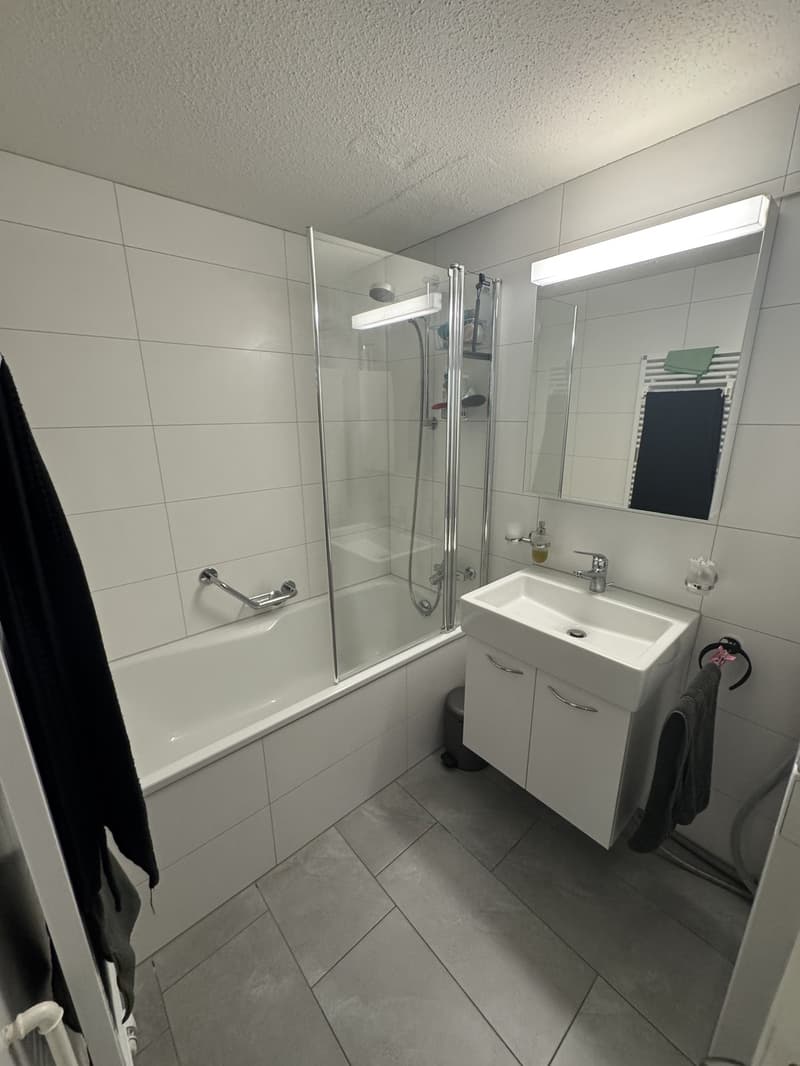 3.5 Zi Wohnung (2)